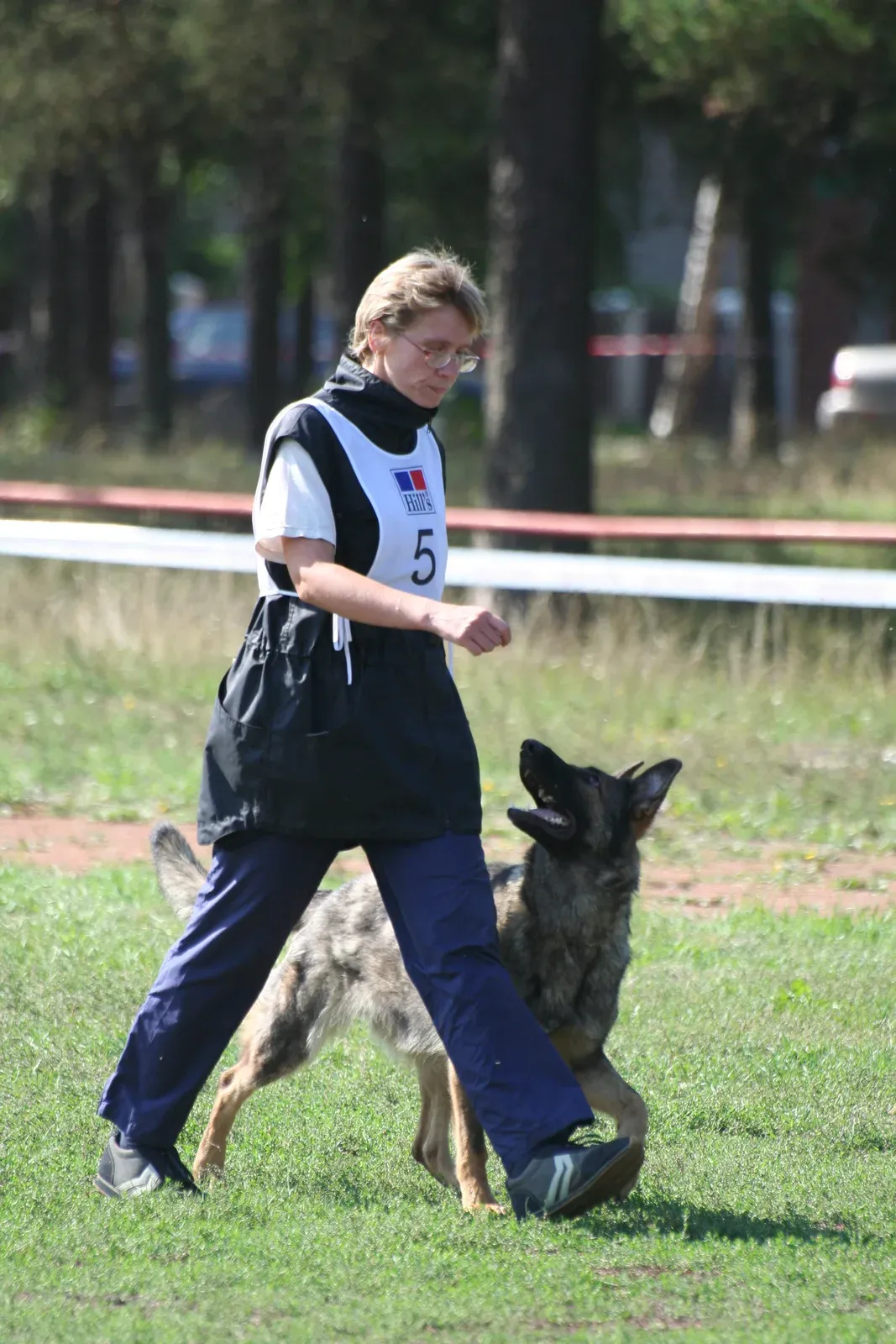 Hundeführerin mit Startnummer geht mit einem Schäferhund bei Fuß über einen Rasenplatz