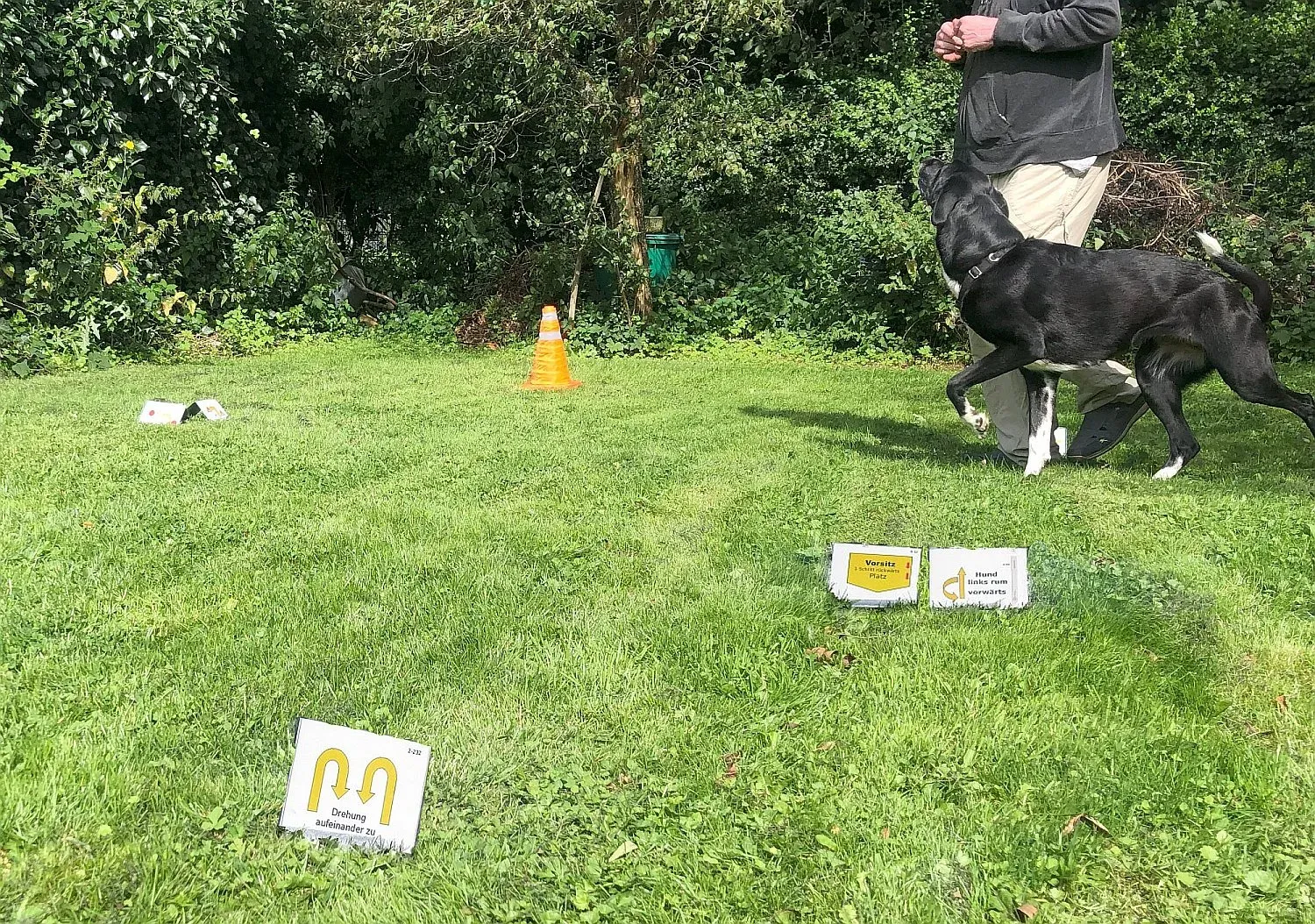 Hundeführer mit großem schwarzem Hund im Rally-Obedience-Parcours, im Gras liegen Übungsschilder